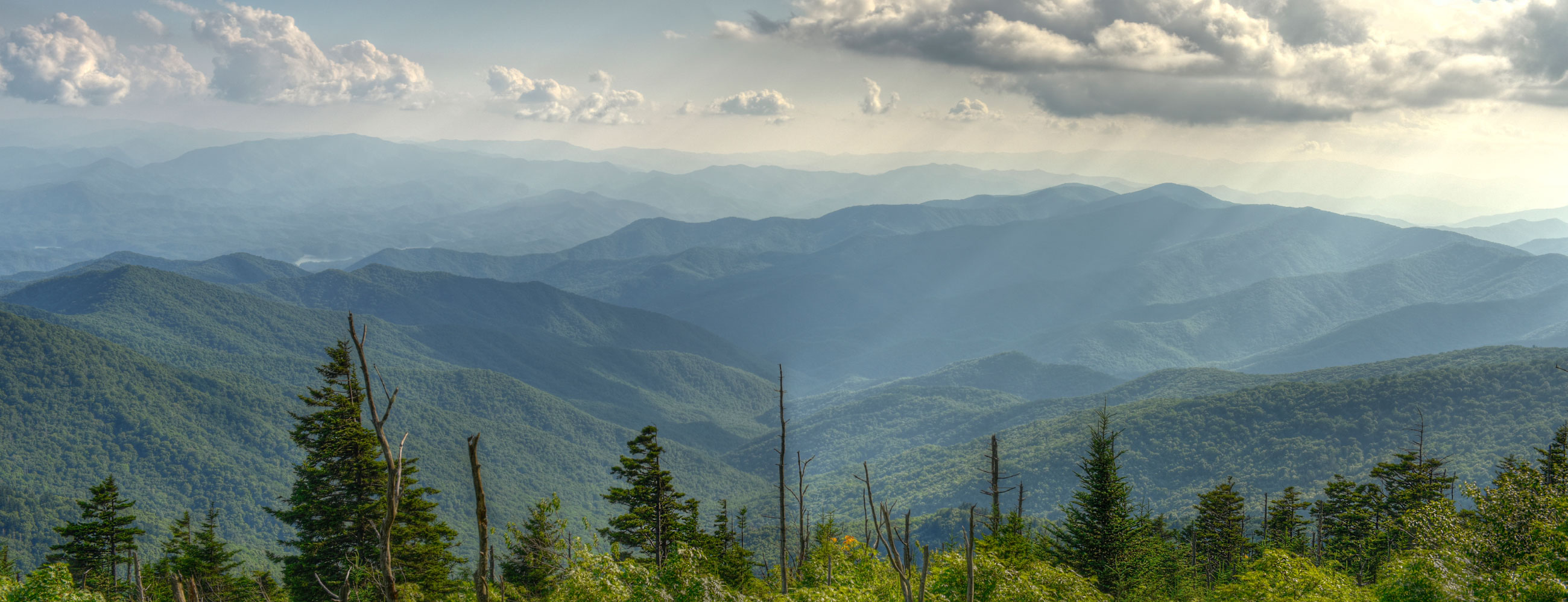 テストベンダー